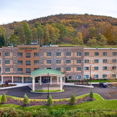 Hotel Courtyard By Marriott Oneonta Esterno foto